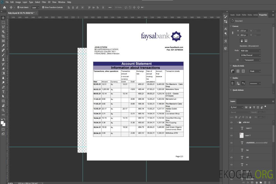 Banque Fasyal du Pakistan excel pdf template